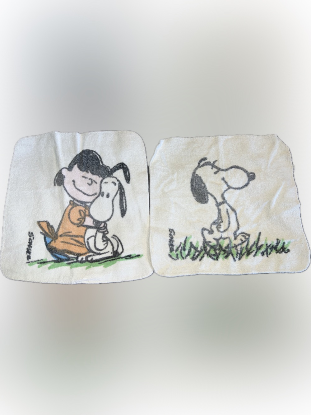 🔴Vintage Collectible Snoopy Peanuts Gang Cotton Cloth Stevens Tastemaker 2 PCS